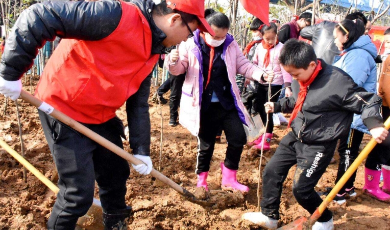 植树节团建