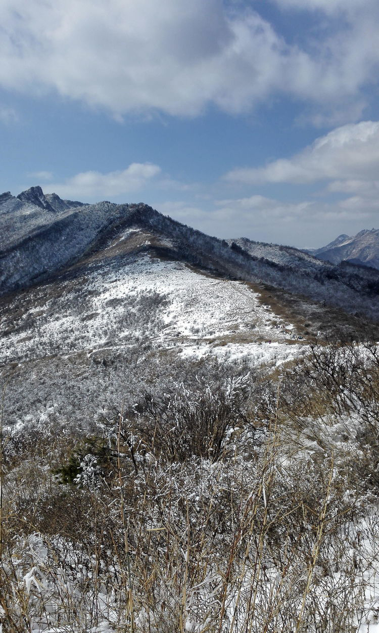 西安周边游·秦岭高山草甸