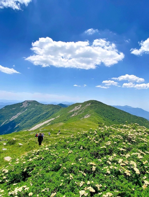 秦岭草链岭风景