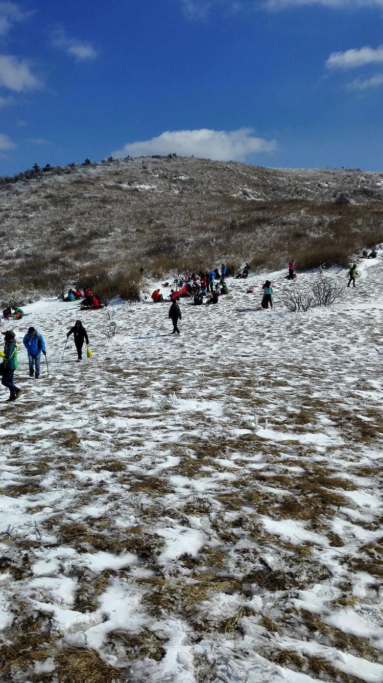 秦岭高山草甸雪景图